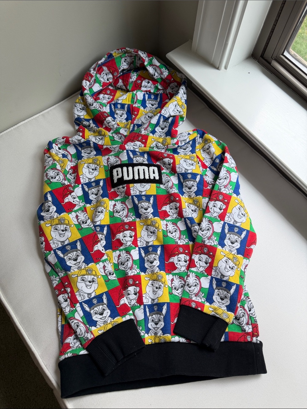 Puma Multicolor Paw Patrol Patchwork Hoodie 6